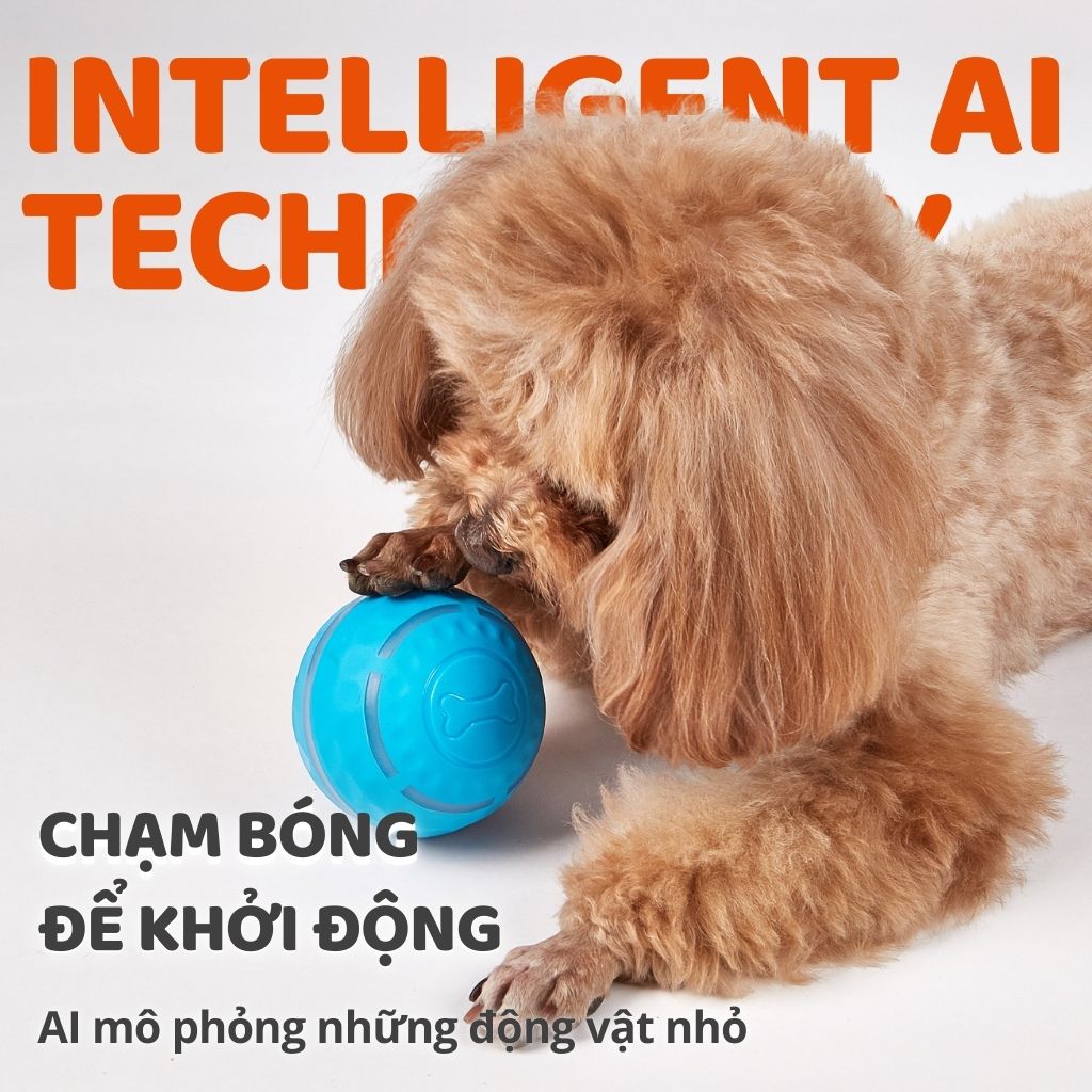 Banh lăn AI tự động cho chó