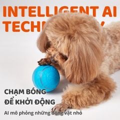 Banh lăn AI tự động cho chó