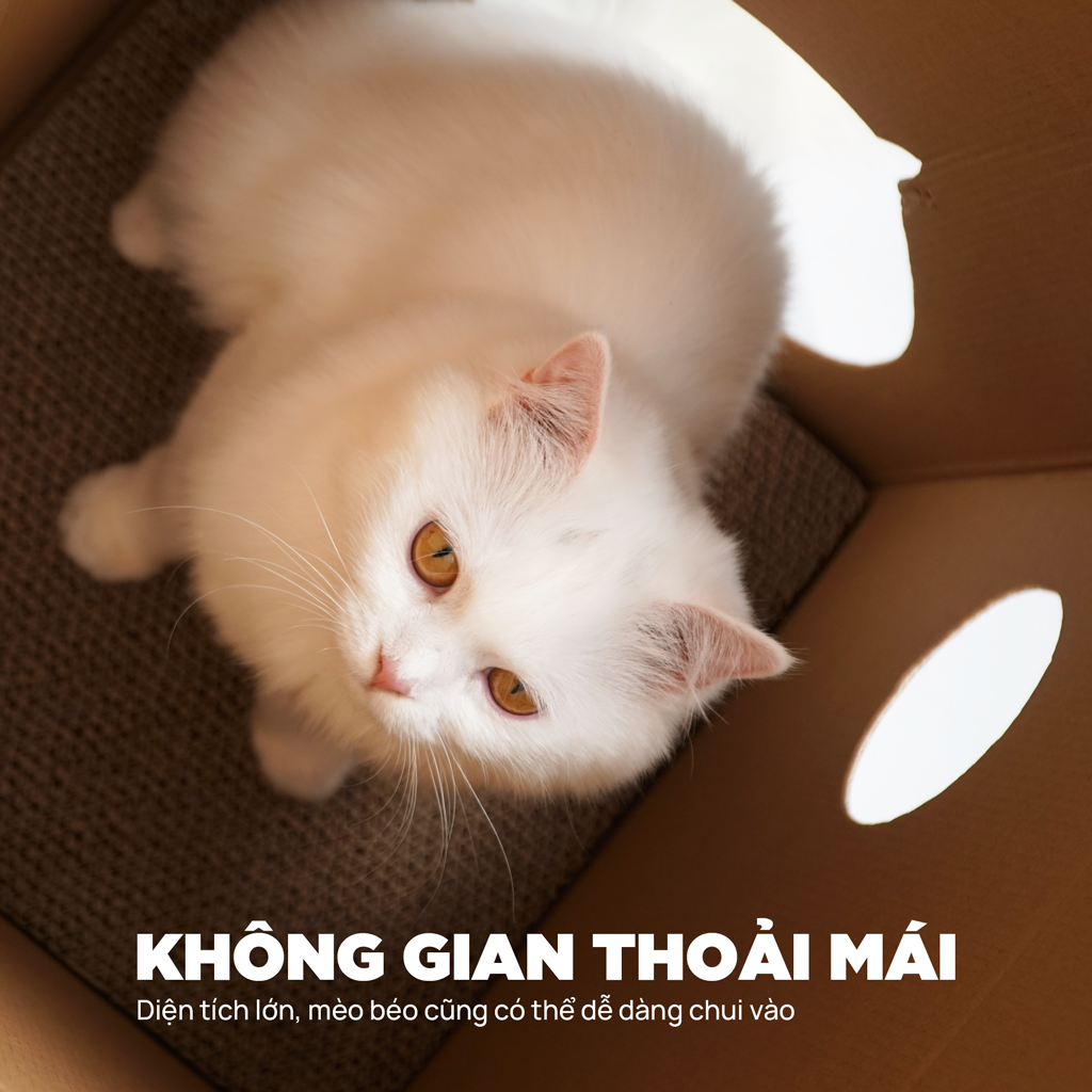 Nhà cho mèo sữa dê PetQ