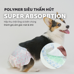 Tã lót SAP cho chó FOFOS