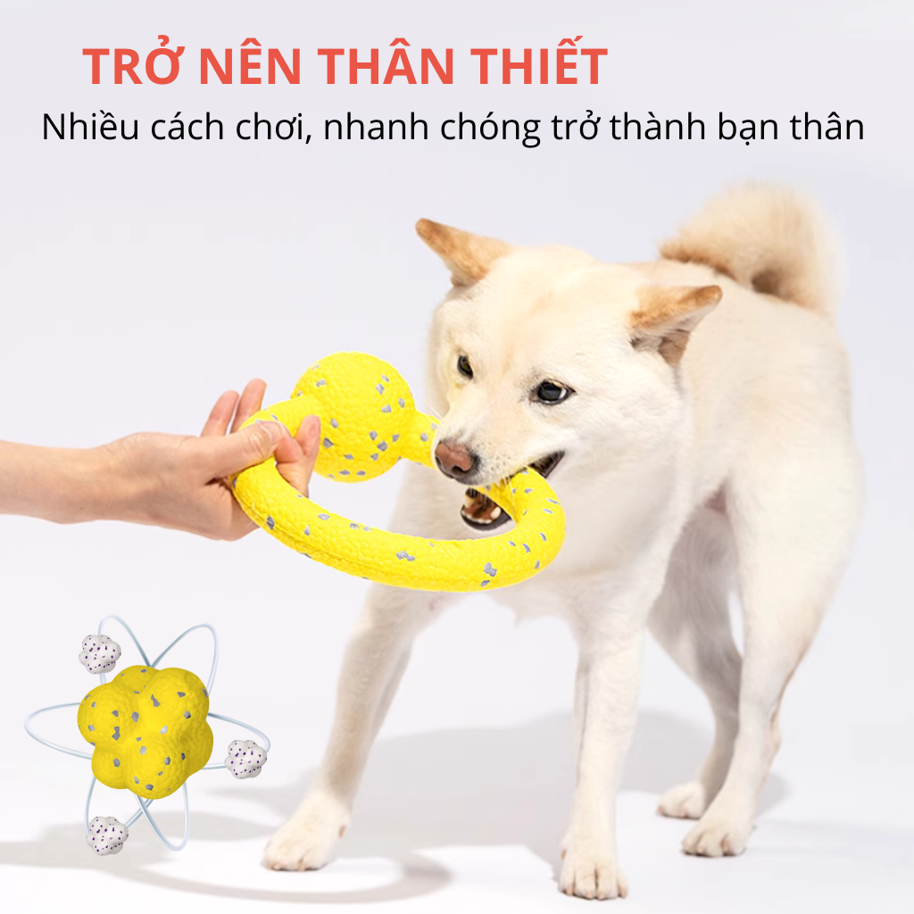 Đồ chơi vòng kéo co & bóng siêu bền FOFOS