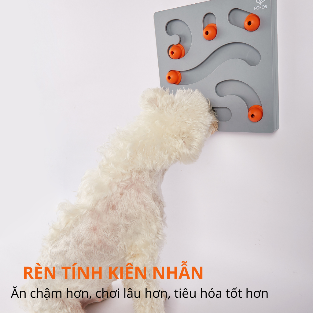 Hộp đồ chơi rèn luyện trí khôn thú cưng FOFOS