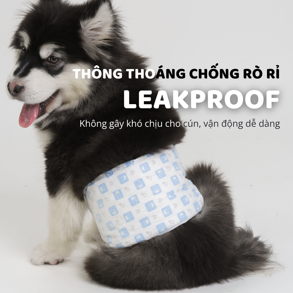 Tã lót SAP cho chó FOFOS