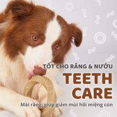 Đồ chơi xương gặm hình sừng hươu FOFOS