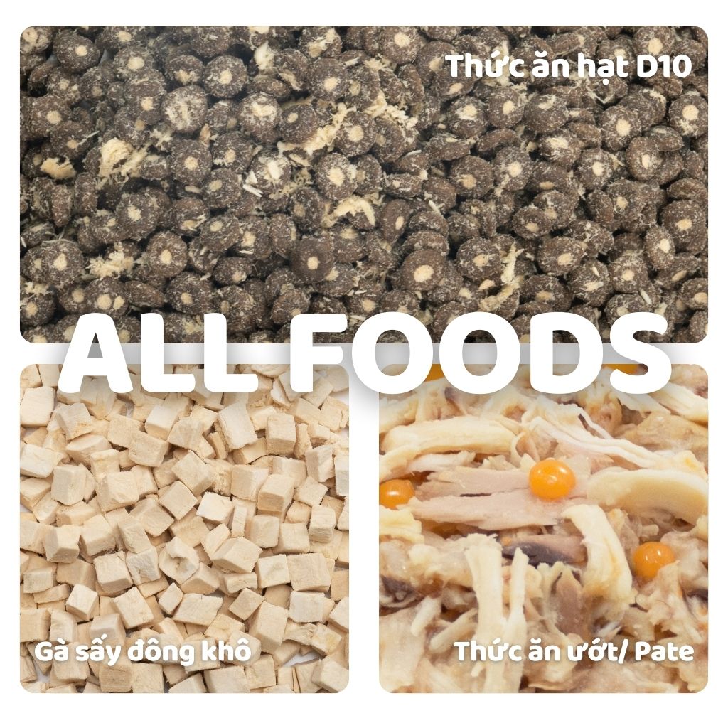 Bát ăn chậm cho thú cưng FOFOS