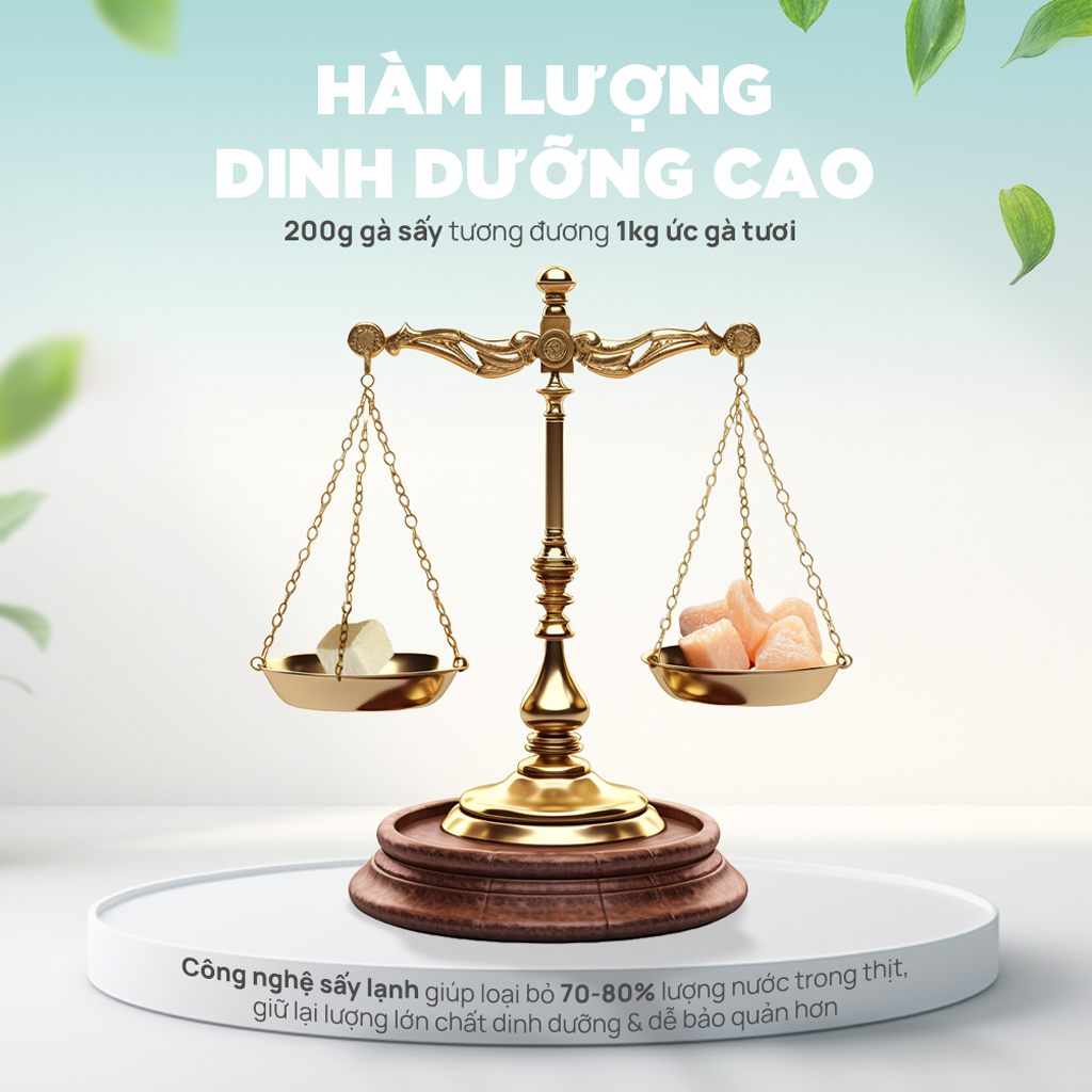 Thức ăn đông khô cho thú cưng PetQ - 5 vị