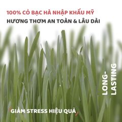 Đồ chơi sinh nhật cho mèo FOFOS
