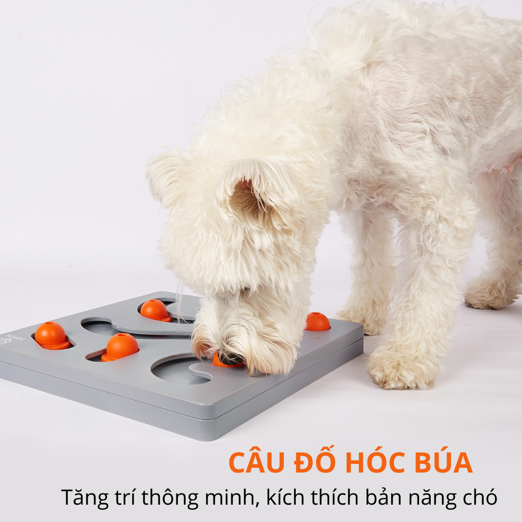 Hộp đồ chơi rèn luyện trí khôn thú cưng FOFOS