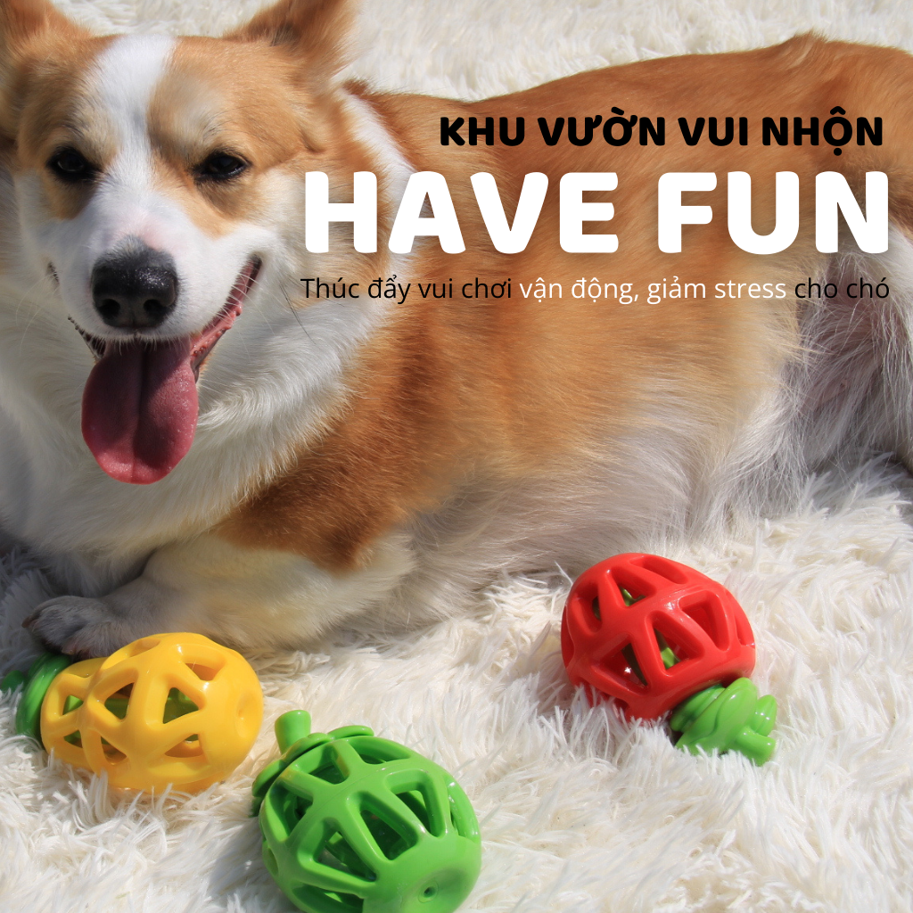 Đồ chơi rớt thức ăn hình trái cây FOFOS