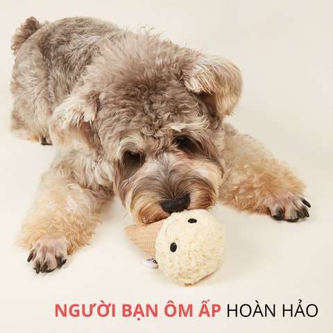 Đồ chơi thú bông hình cây kem FOFOS