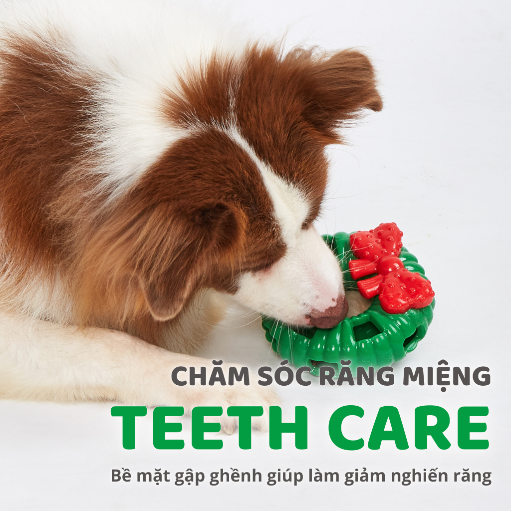 Đồ chơi cho chó FOFOS vòng nguyệt quế Noel