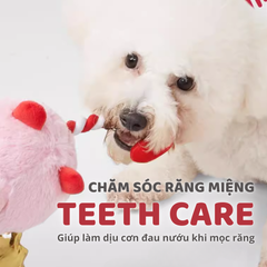 Đồ chơi thú bông tình yêu cho chó FOFOS