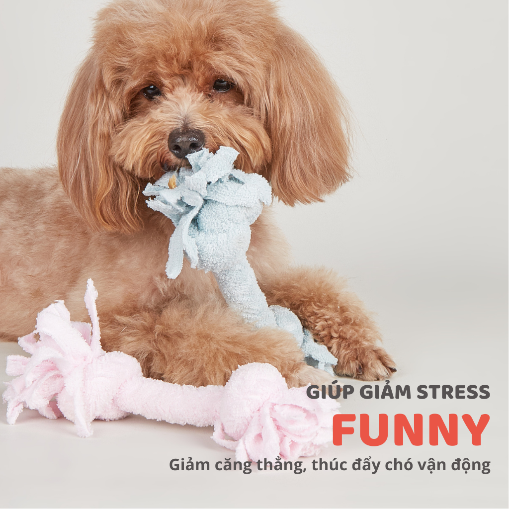 Đồ chơi xương gặm hình nút thắt FOFOS