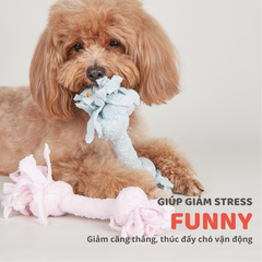 Đồ chơi xương gặm hình nút thắt FOFOS