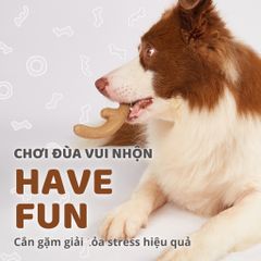 Đồ chơi xương gặm hình sừng hươu FOFOS