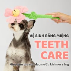 Đồ chơi cho chó hình bông hoa mặt cười