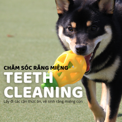 Đồ chơi rớt thức ăn hình trái cây FOFOS