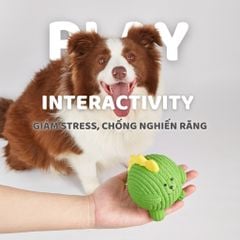 Banh động vật cao su Latex FOFOS