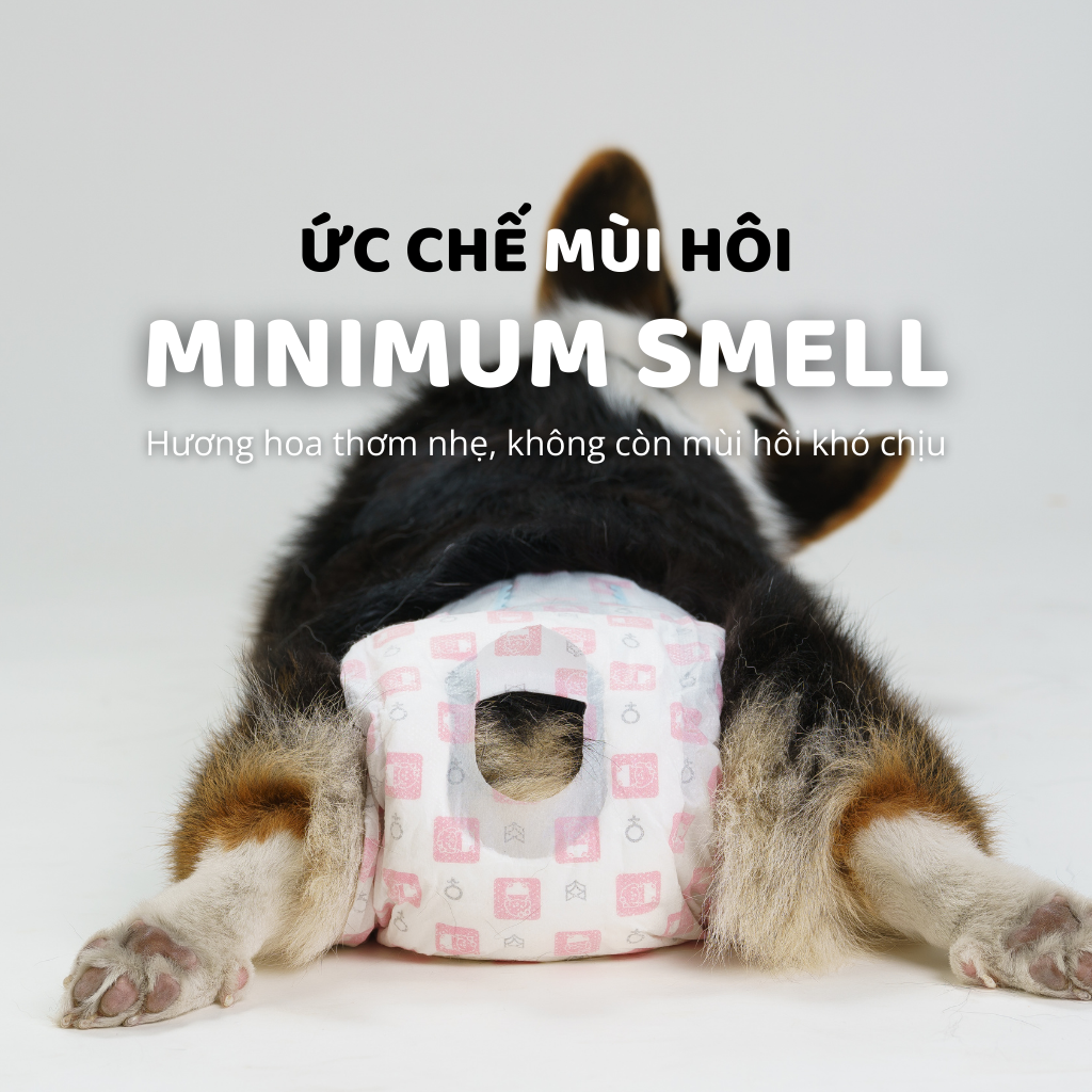 Tã lót SAP cho chó FOFOS