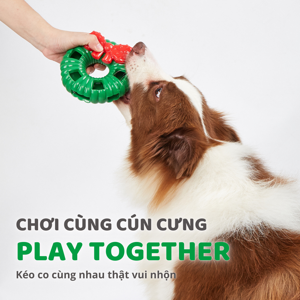 Đồ chơi cho chó FOFOS vòng nguyệt quế Noel