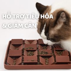 Bát ăn chậm cho thú cưng FOFOS