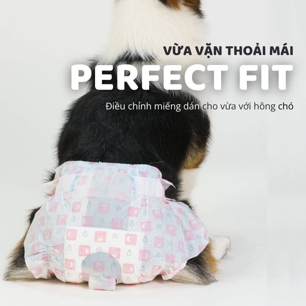 Tã lót SAP cho chó FOFOS