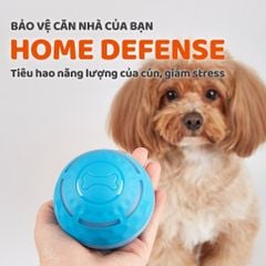 Banh lăn AI tự động cho chó