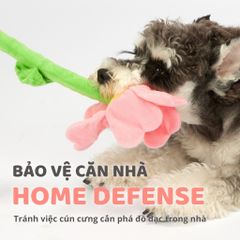Đồ chơi cho chó hình bông hoa mặt cười