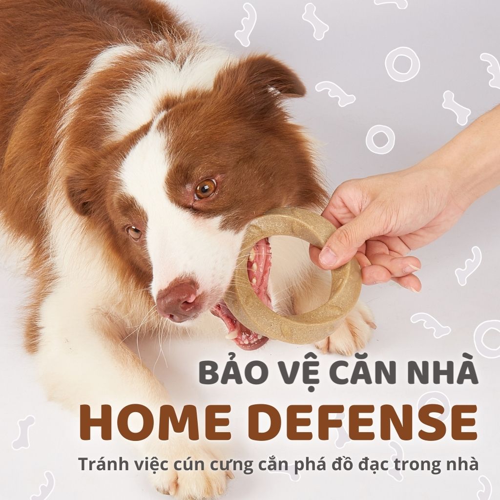 Đồ chơi xương gặm hình sừng hươu FOFOS