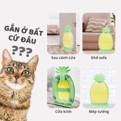 Trụ cào móng gắn tường hình trái dứa FOFOS