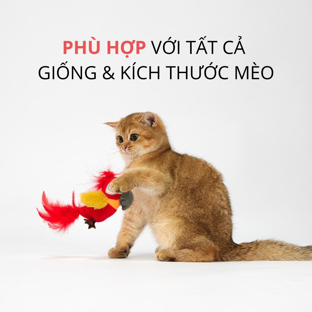 Đồ chơi chim vẹt FOFOS có tiếng kêu kèm bóng catnip