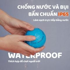 Banh lăn AI tự động cho chó