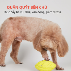 Đồ chơi vòng kéo co & bóng siêu bền FOFOS