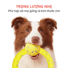 Đồ chơi vòng kéo co & bóng siêu bền FOFOS