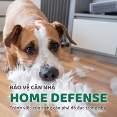 Đồ chơi thú bông hình ngựa vằn FOFOS