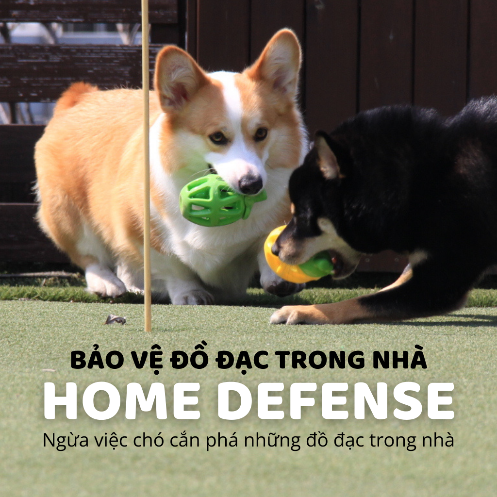 Đồ chơi rớt thức ăn hình trái cây FOFOS