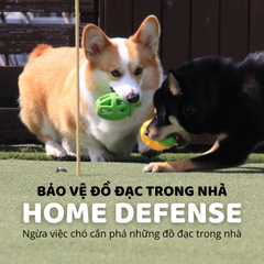 Đồ chơi rớt thức ăn hình trái cây FOFOS