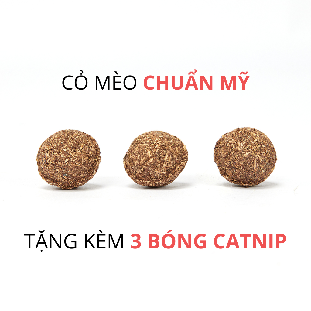 Đồ chơi chim vẹt FOFOS có tiếng kêu kèm bóng catnip