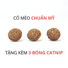 Đồ chơi chim vẹt FOFOS có tiếng kêu kèm bóng catnip