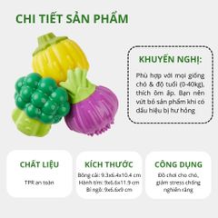 Đồ chơi cắn gặm hình rau củ FOFOS