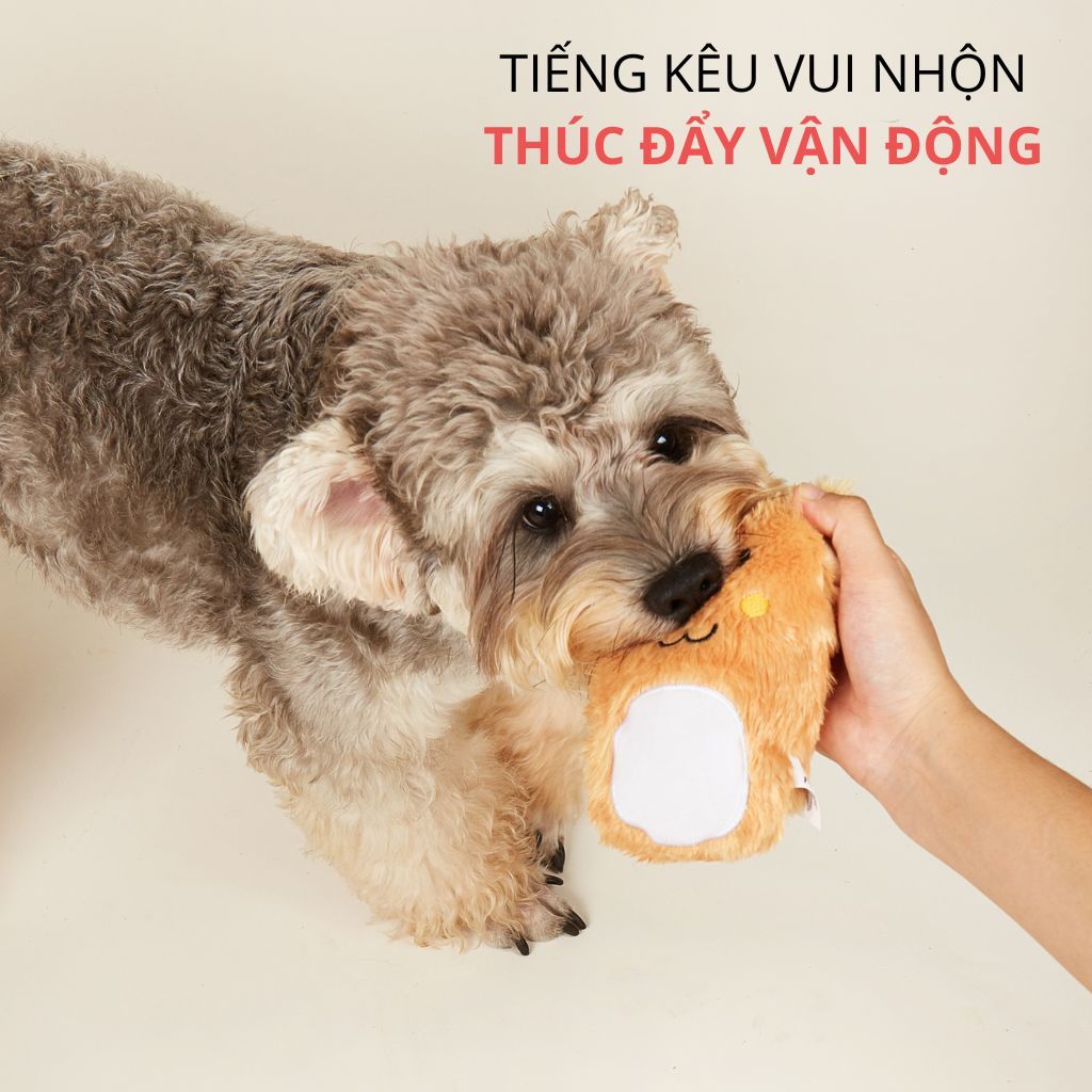 Đồ chơi thú bông nhai gặm FOFOS