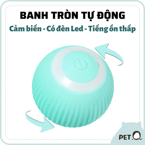 Banh cảm biến tự động cho mèo