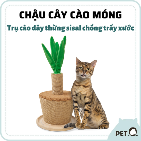 Trụ cào móng hình chậu cây FOFOS