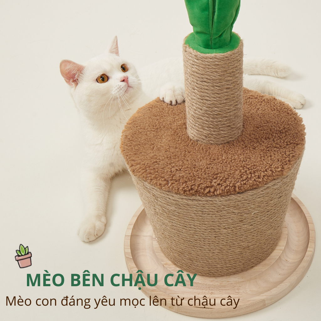 Trụ cào móng hình chậu cây FOFOS