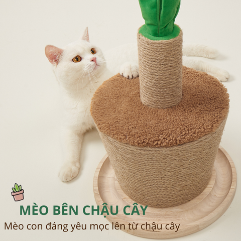 Trụ cào móng hình chậu cây FOFOS