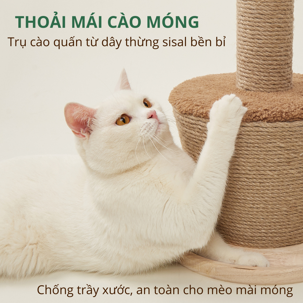Trụ cào móng hình chậu cây FOFOS