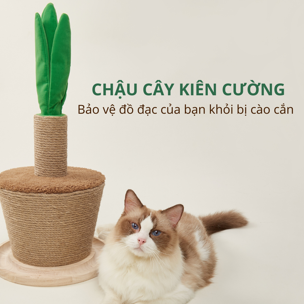 Trụ cào móng hình chậu cây FOFOS