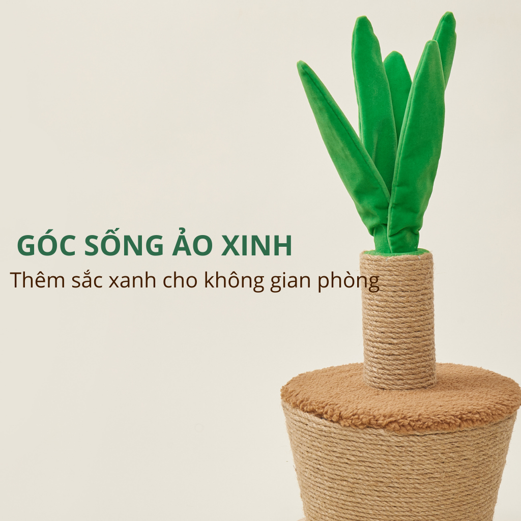 Trụ cào móng hình chậu cây FOFOS