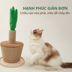 Trụ cào móng hình chậu cây FOFOS