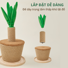 Trụ cào móng hình chậu cây FOFOS